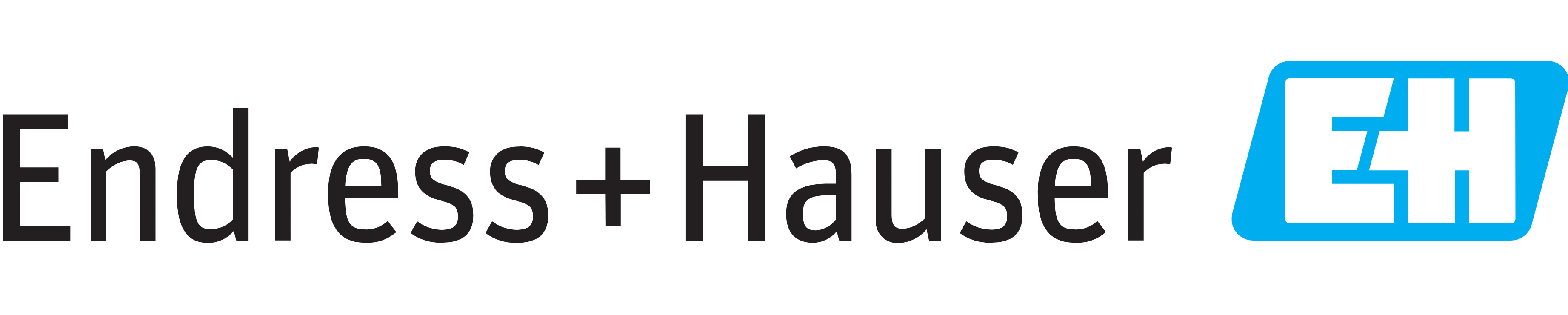 Endress+Hauser